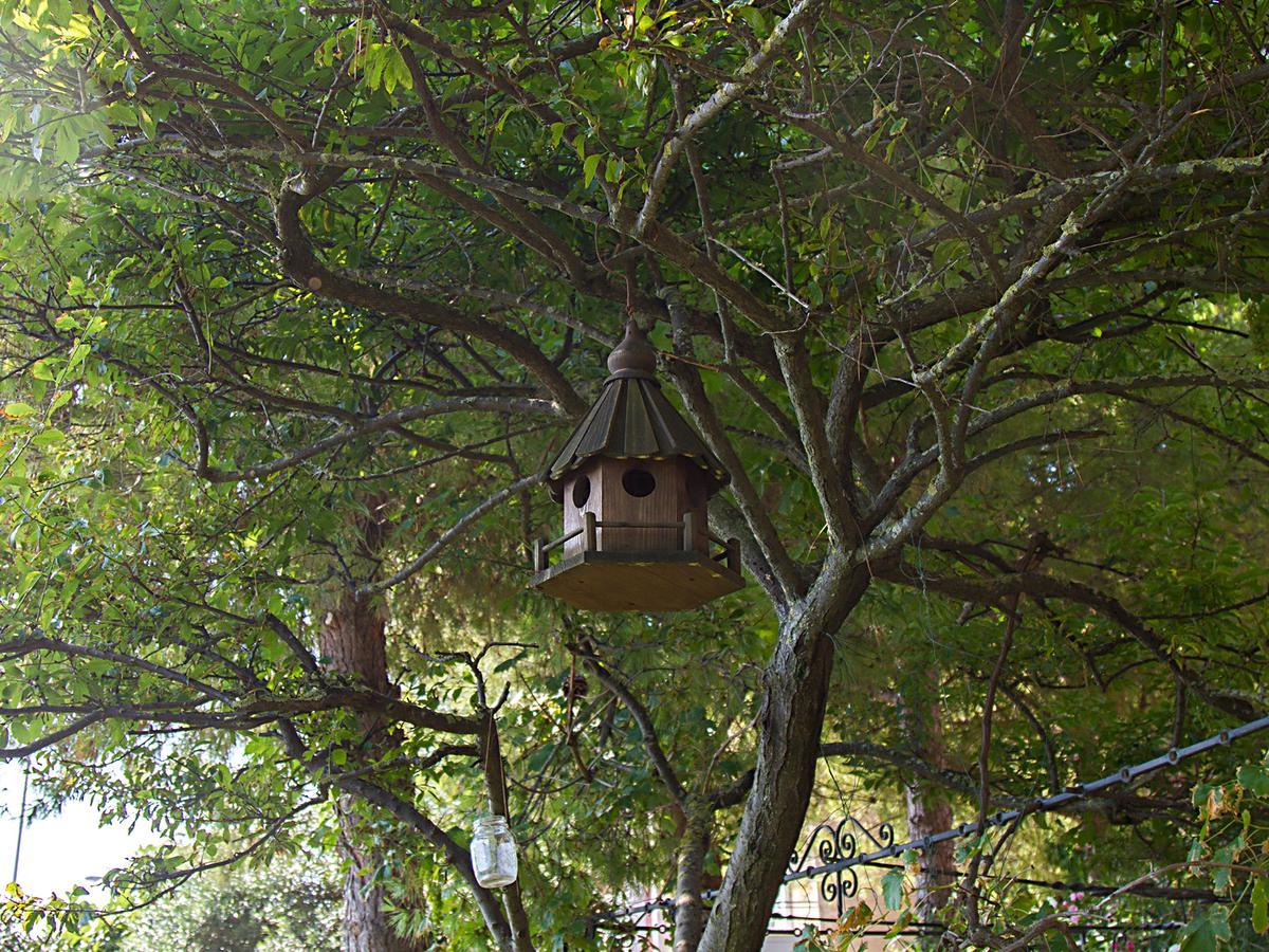 Hotel Il Sestante à Civitanova Marche Extérieur photo