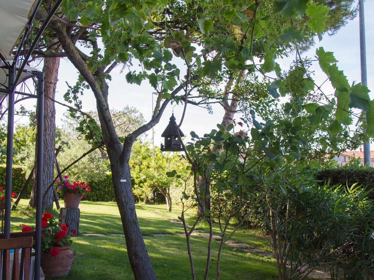 Hotel Il Sestante à Civitanova Marche Extérieur photo